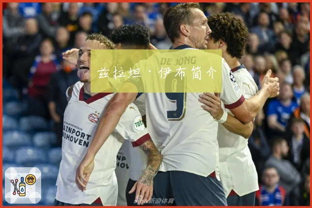 兹拉坦·伊布简介