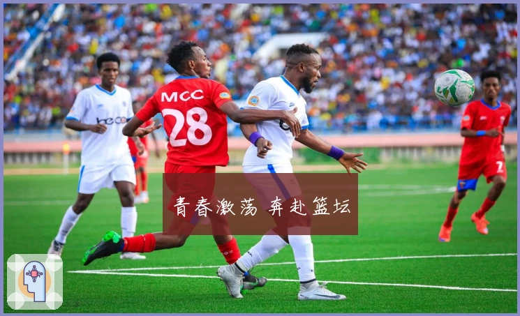 青春激荡 奔赴篮坛