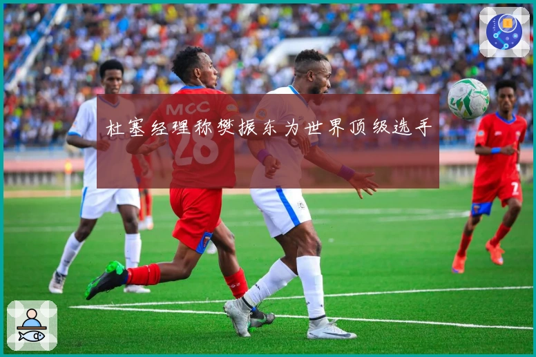 杜塞经理称樊振东为世界顶级选手