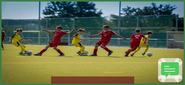 兹拉坦·伊布简介