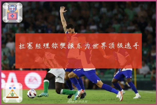 杜塞经理称樊振东为世界顶级选手